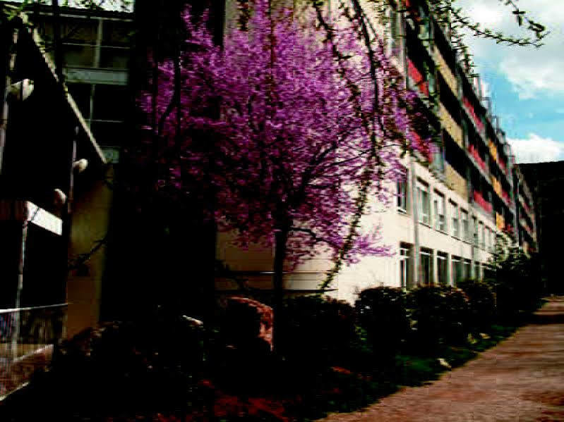 Hotel Balneario Sicilia Jaraba Εξωτερικό φωτογραφία